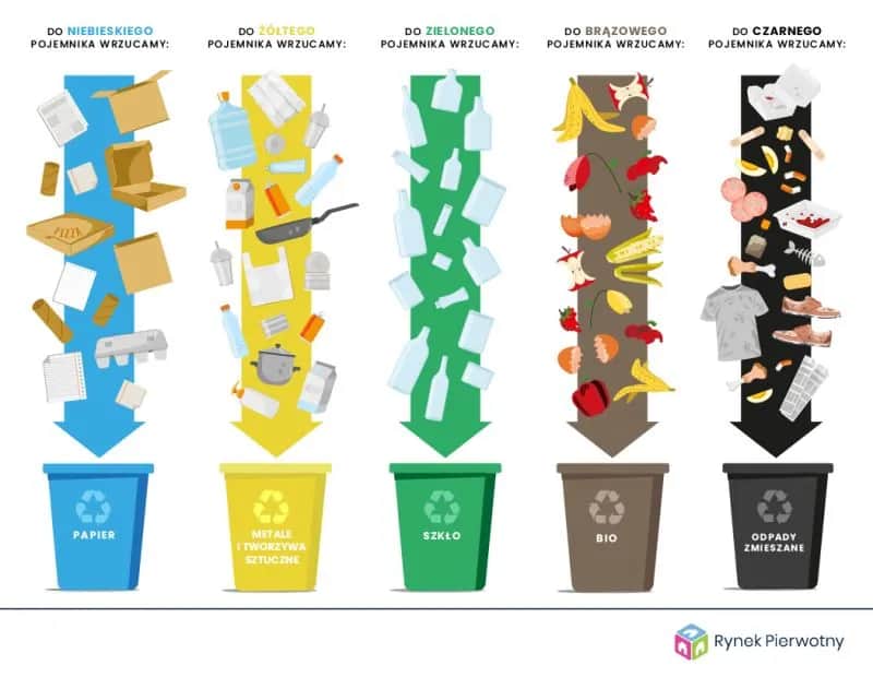 Gdzie wyrzucić styropian? Poradnik segregacji i utylizacji odpadów